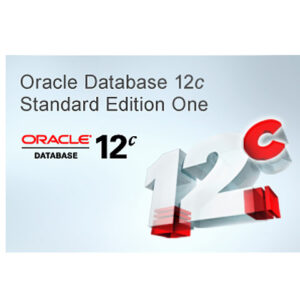 Базы данных Oracle Database Standard One
