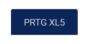 Мониторинг Paessler PRTG XL5 с обслуживанием на 2 года