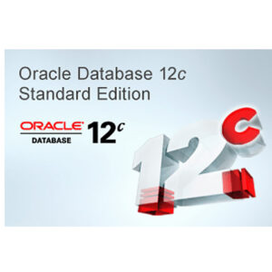 Базы данных Oracle Database Standard